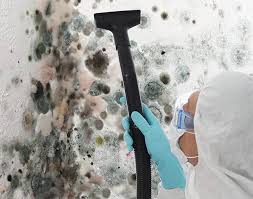 Trusted Yoe, PA Mold Removal Experts